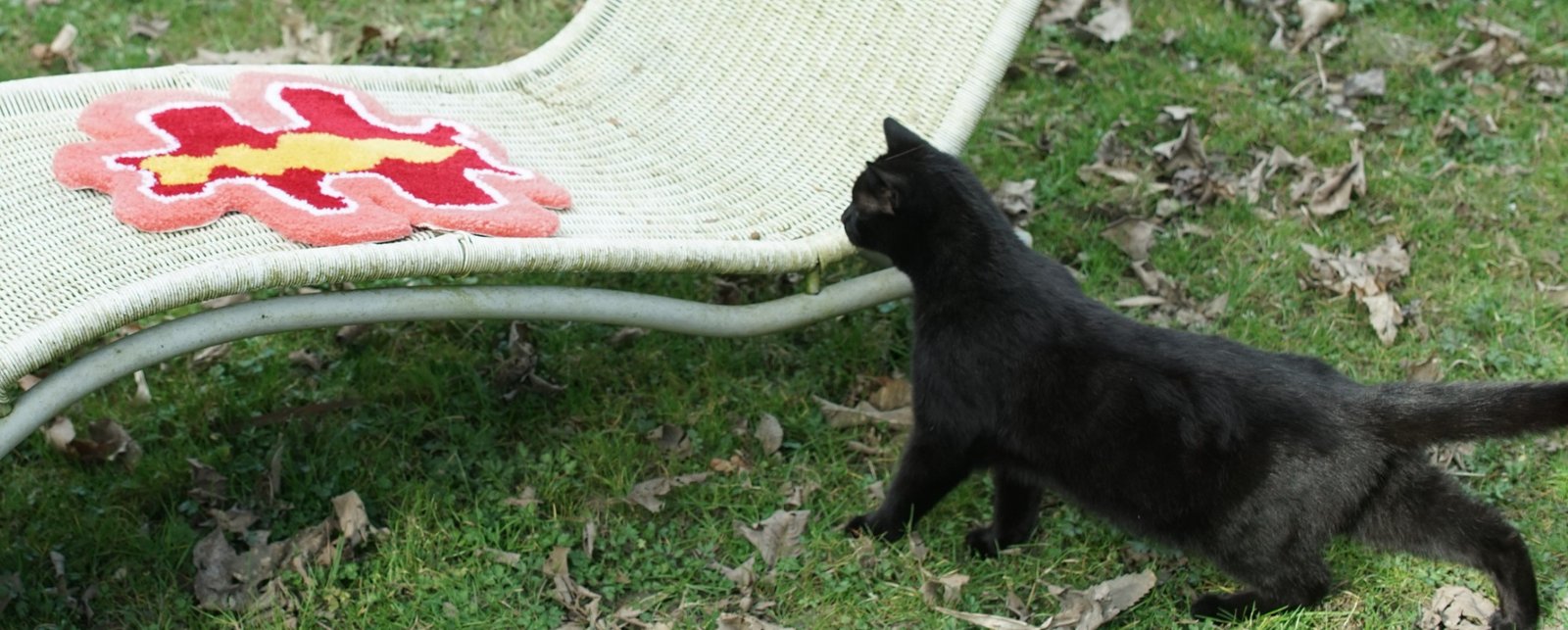 Getuft object en zwarte kat in de tuin
